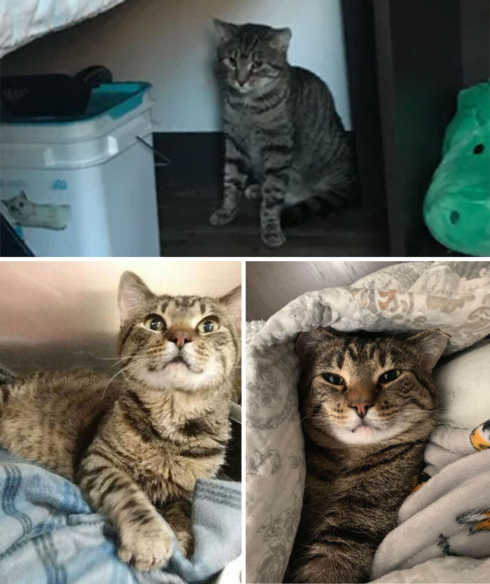 08-12-41-16602973191281424074