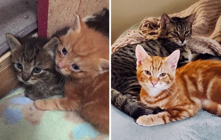 08-12-42-16602973332010491713