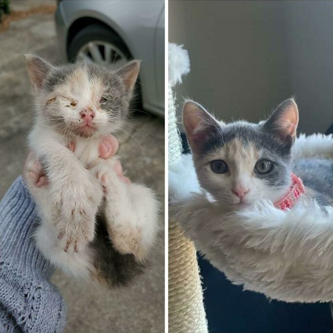 08-12-42-1660297358405054277