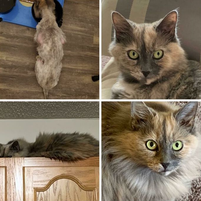 08-12-42-16602973791048144413