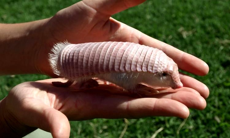 08-12-48-16607297332050191611