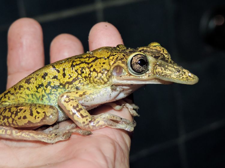 08-12-49-16607297431418363028