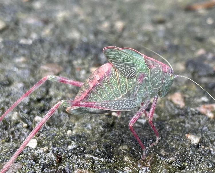 08-12-49-16607297541169896028