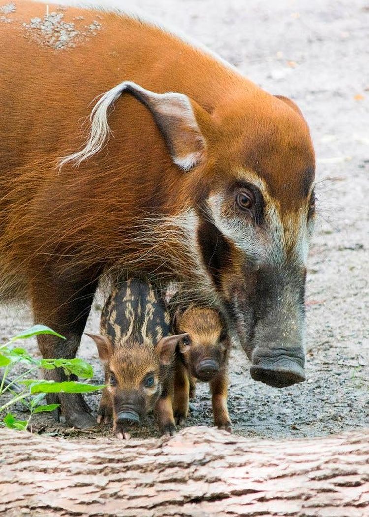 08-12-49-1660729764725325488