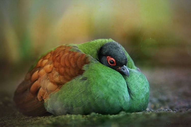 08-12-49-1660729767169018287