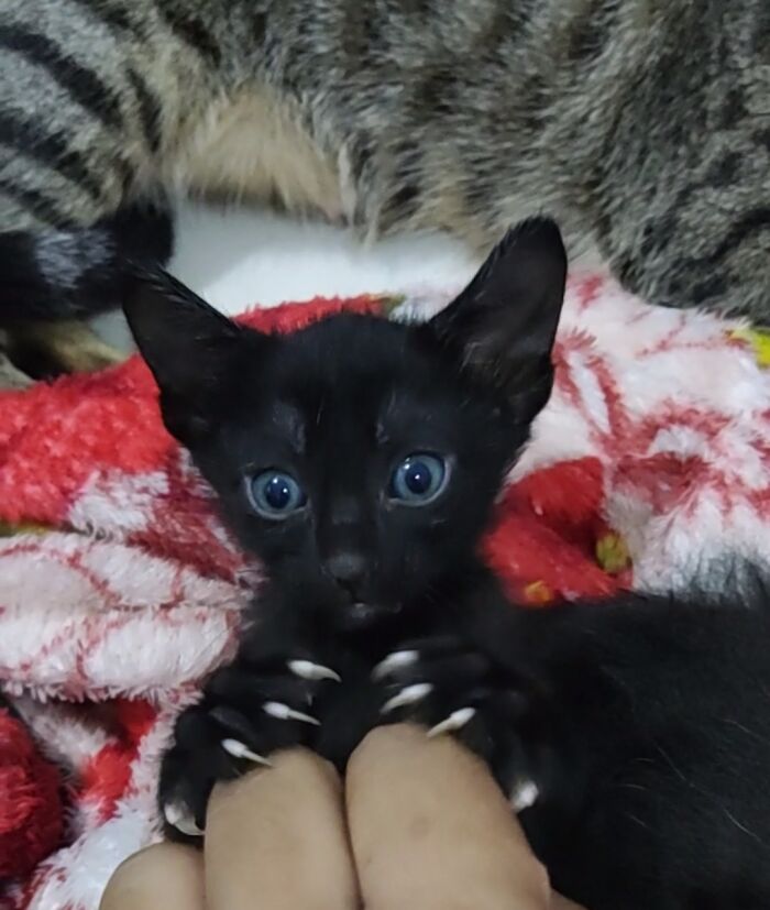 08-12-56-16611621972126473773