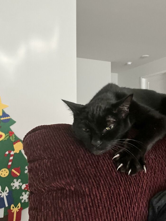 08-12-56-1661162203243439240