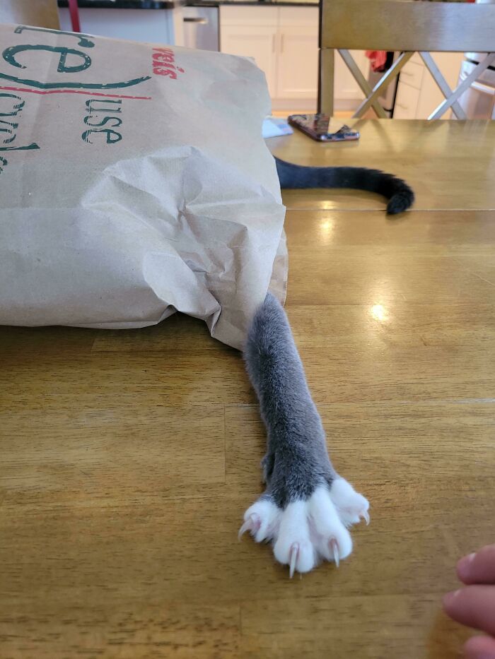 08-12-56-1661162215467717905