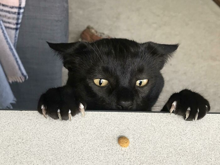 08-12-57-1661162227626537558