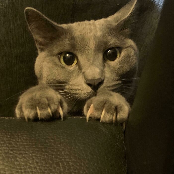 08-12-57-1661162230930423443