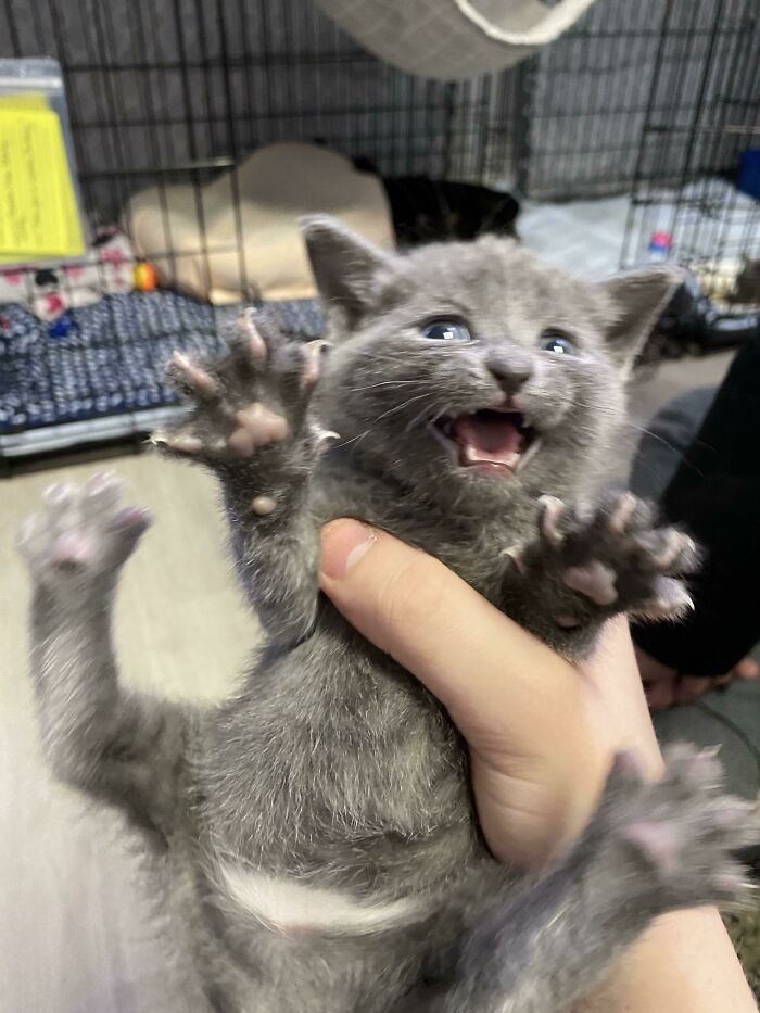 08-12-57-16611622321855572364