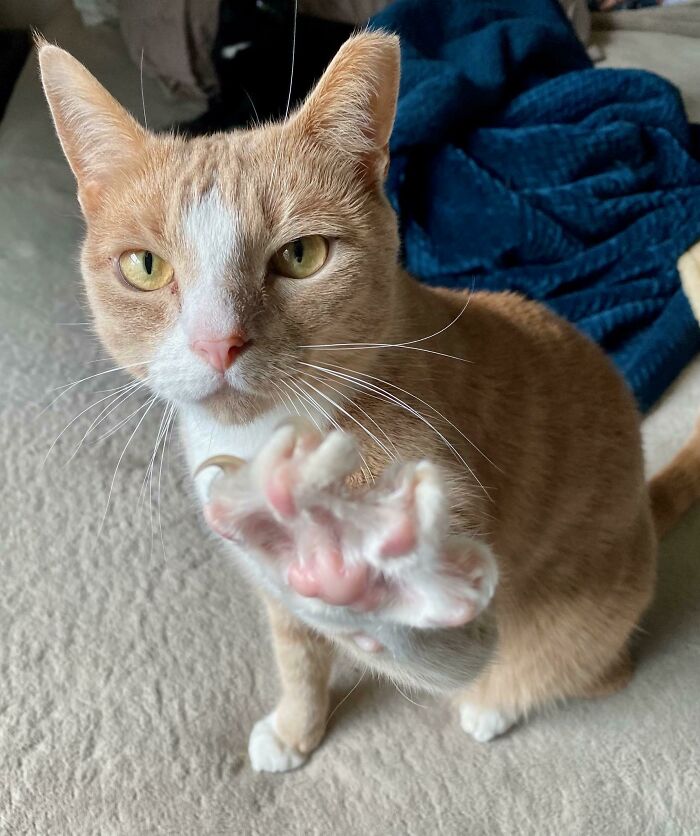 08-12-57-1661162237516554297