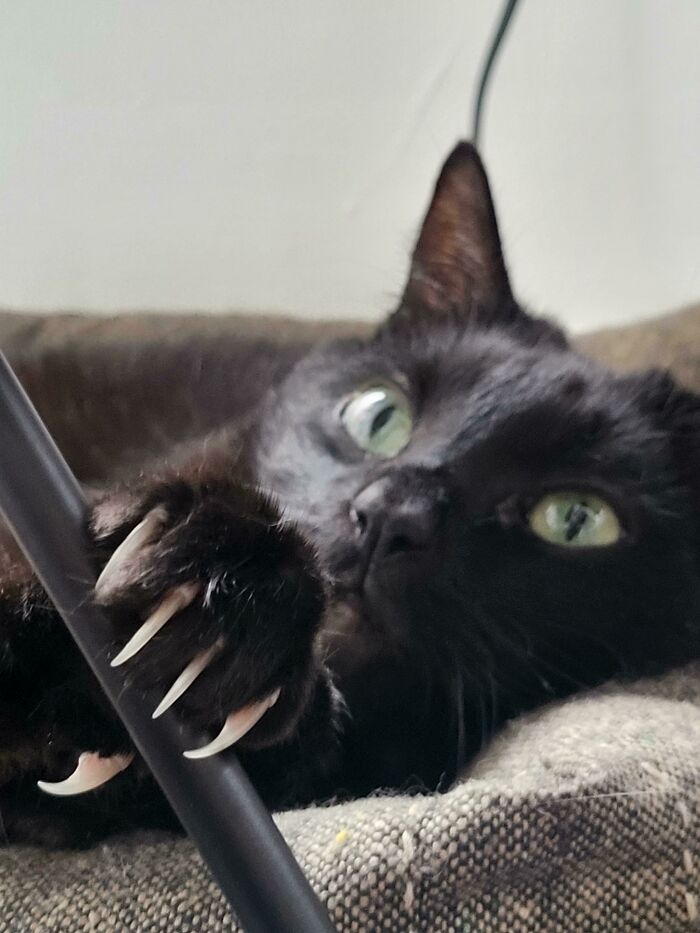 08-12-57-1661162244352790843