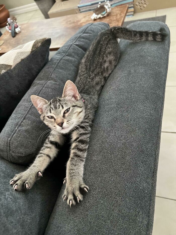 08-12-57-1661162247393460196