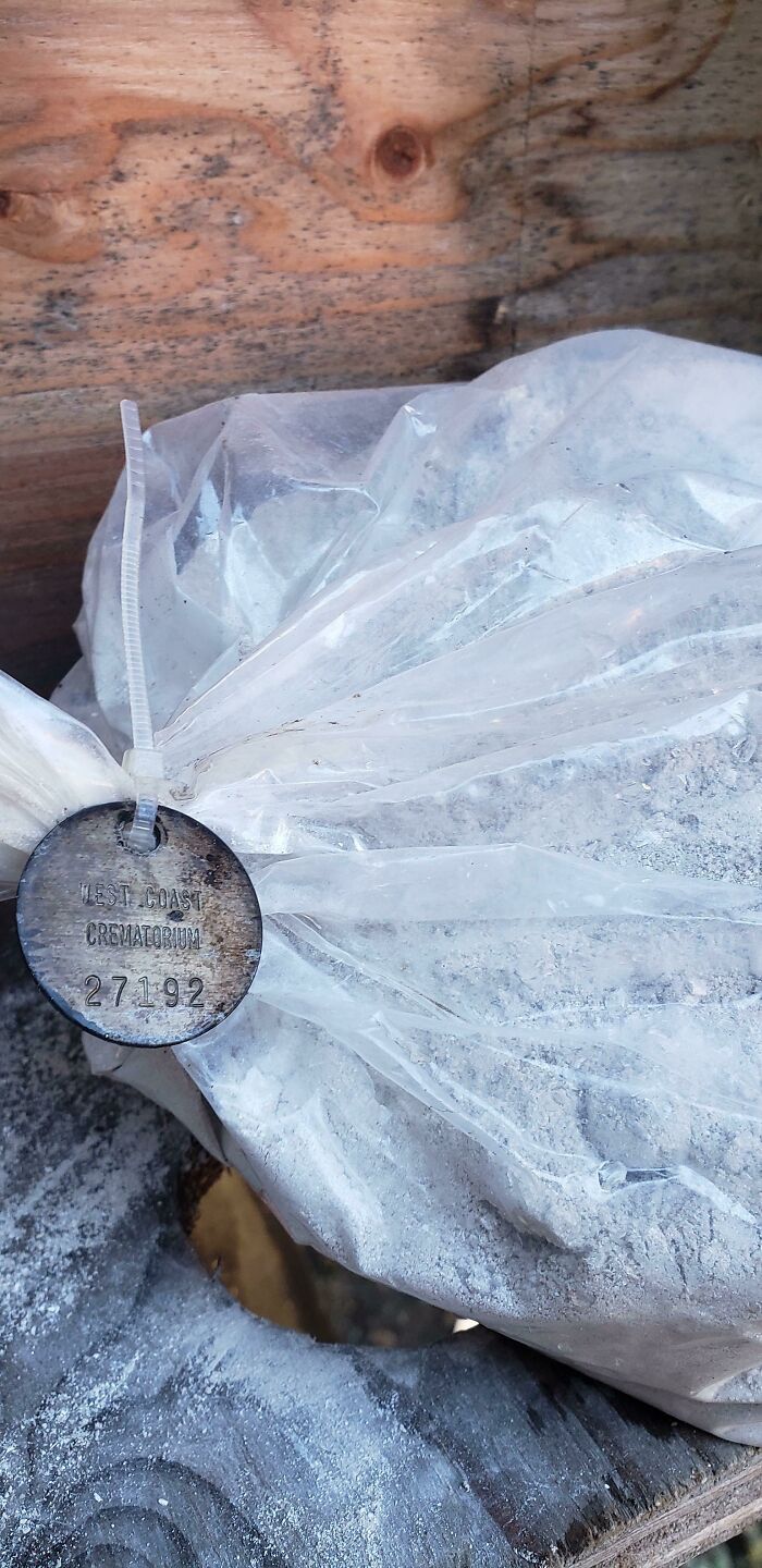 08-13-20-1659694831492075768