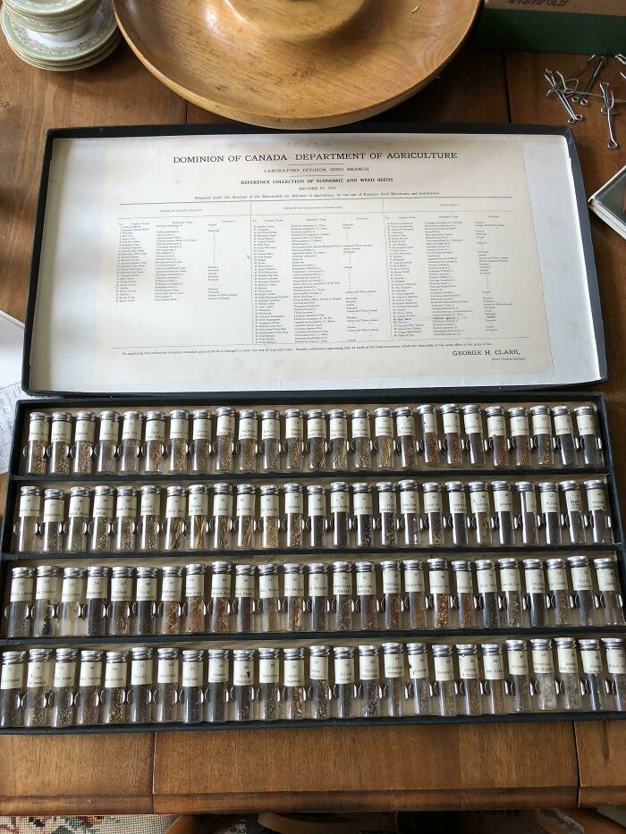 08-13-20-16596948421709244068