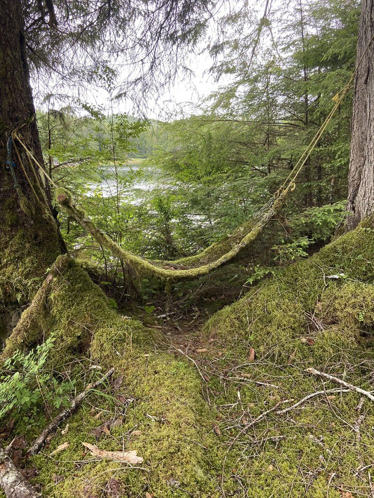 08-13-21-16596085181410439338