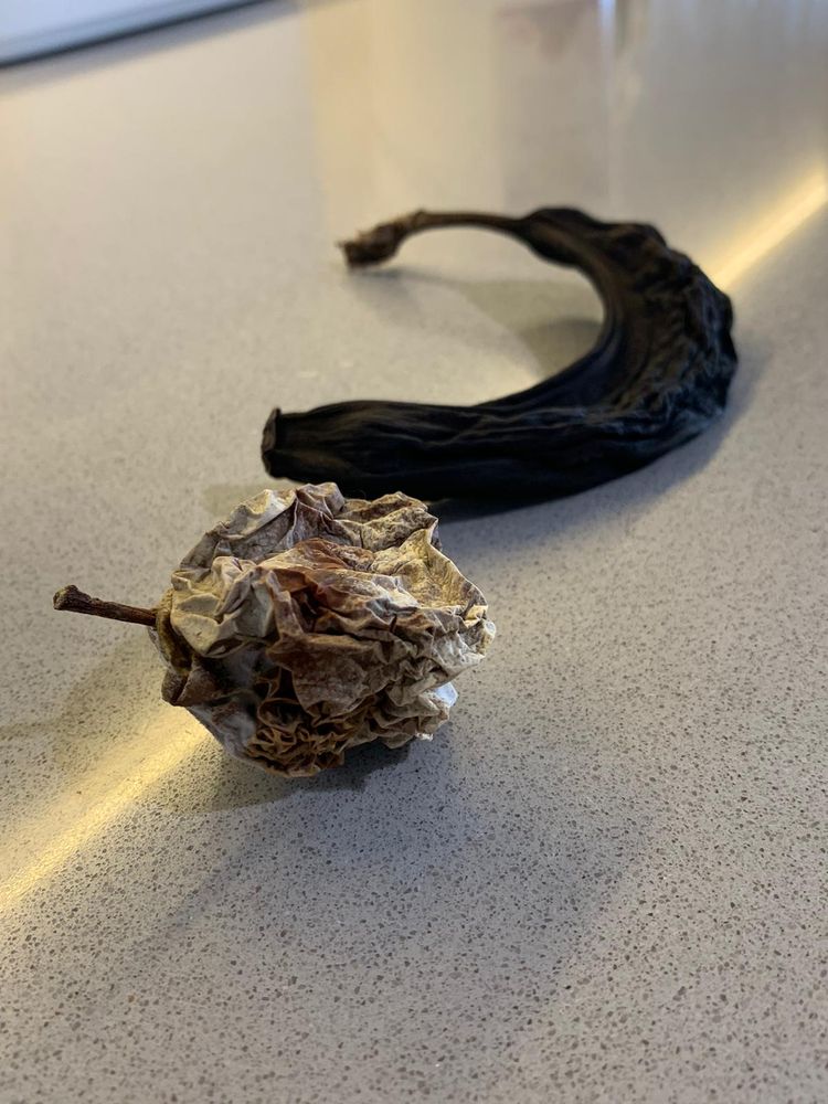 08-13-22-16596085241697713419