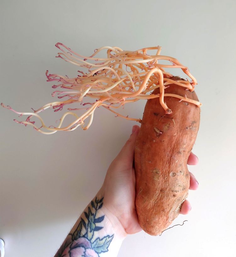 08-13-22-1659608533853402292