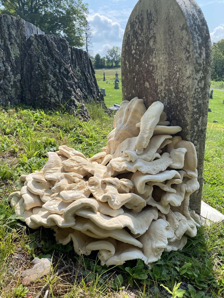 08-13-22-1659608560757962675