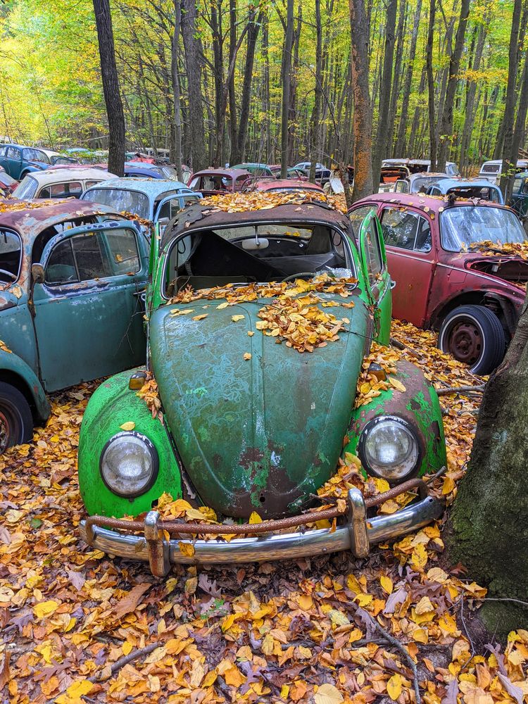 08-13-22-16596085691535230036