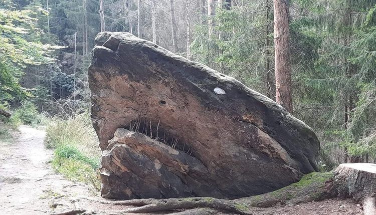 08-13-52-1660128735380905627