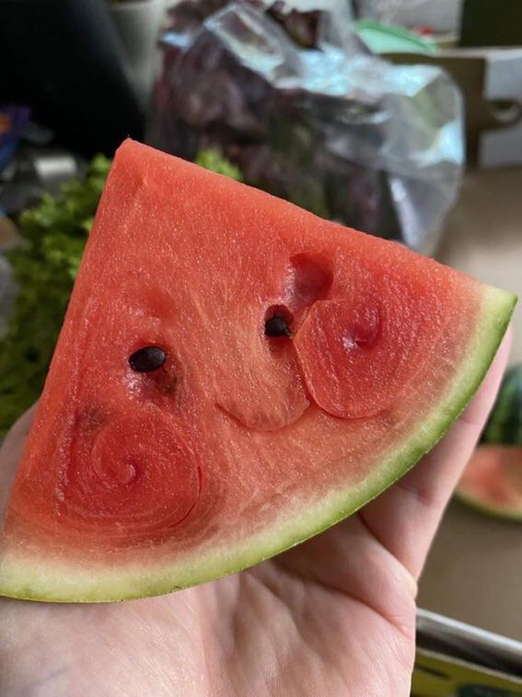 08-13-53-16601287871620885115