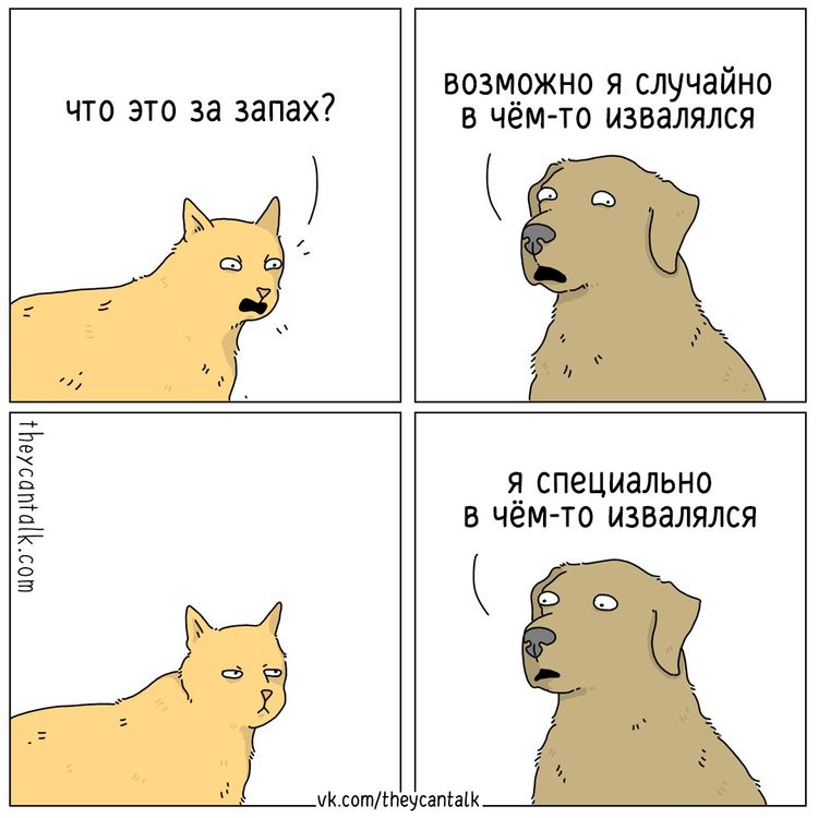 08-14-08-1661166486989474120