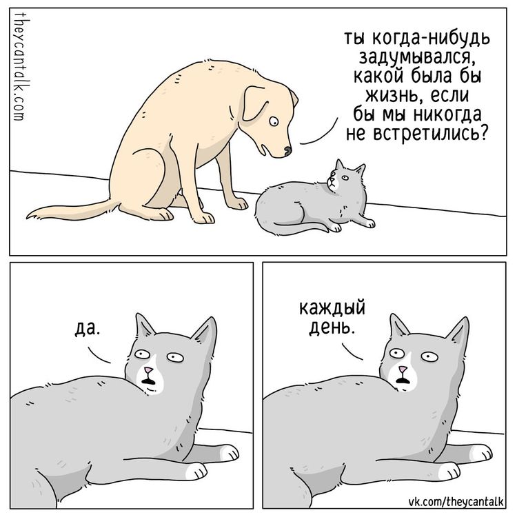 08-14-08-16611665052087708816