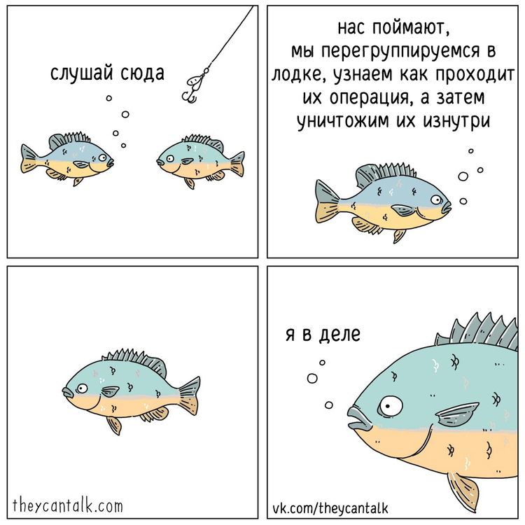 08-14-08-16611665131364815989