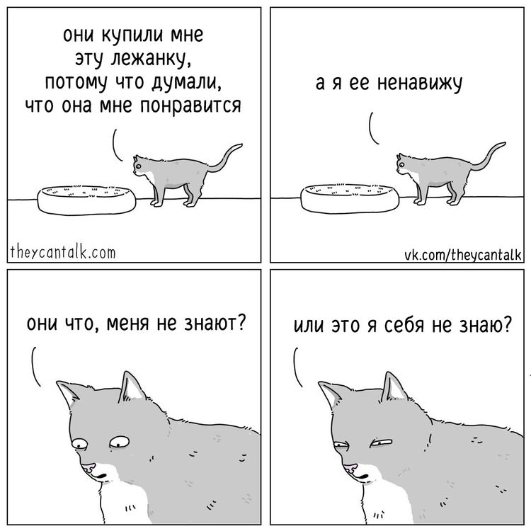 08-14-08-1661166518831221544