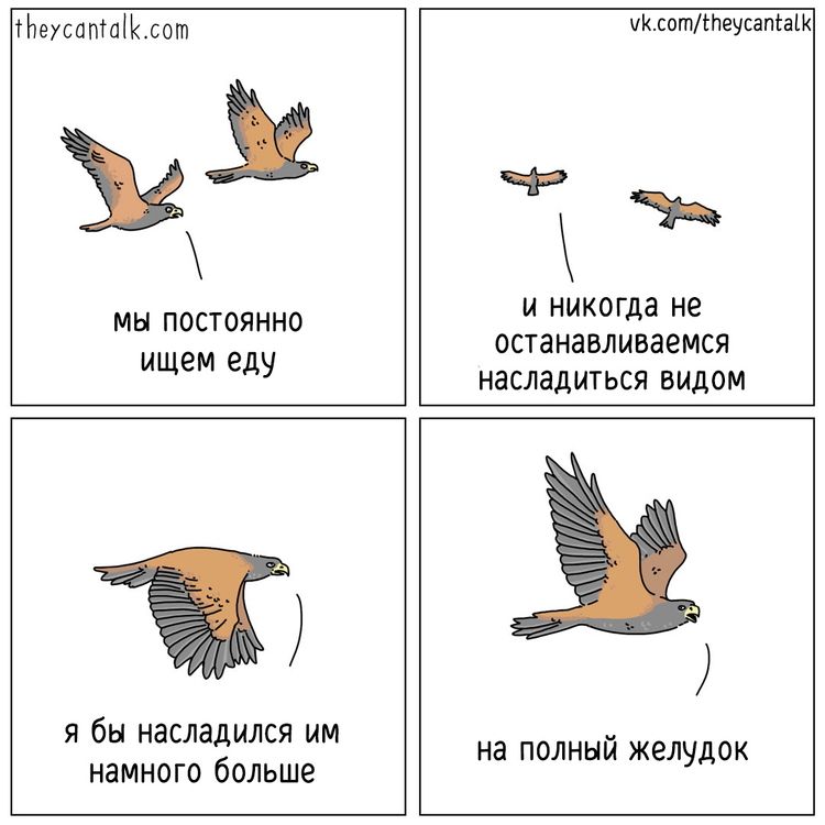 08-14-08-1661166521180460618