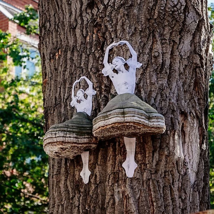 08-14-20-16613400411618935780