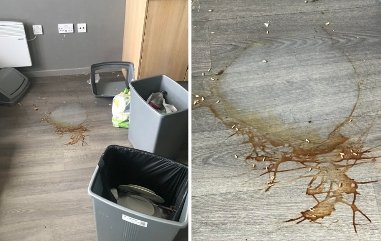 08-14-38-16603043091196688776