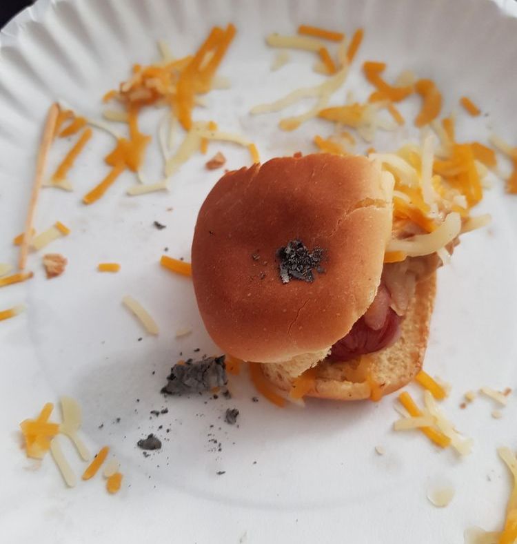 08-14-39-16603043831497712882