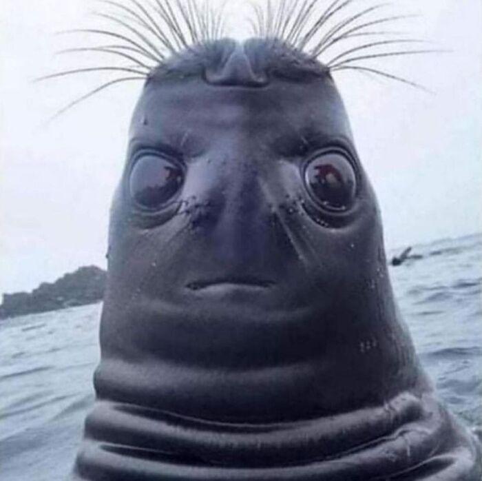 08-14-54-16605644791023959704