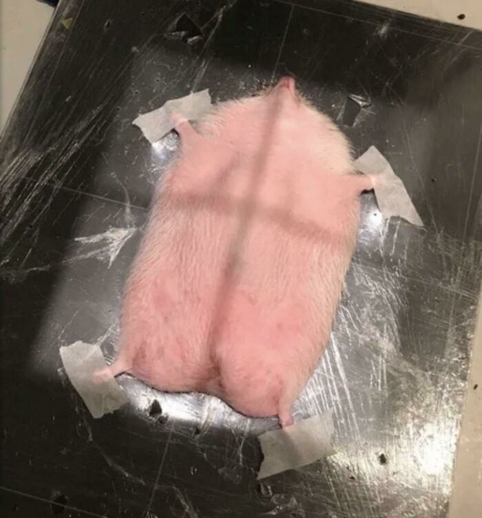 08-14-59-1660564741117253151