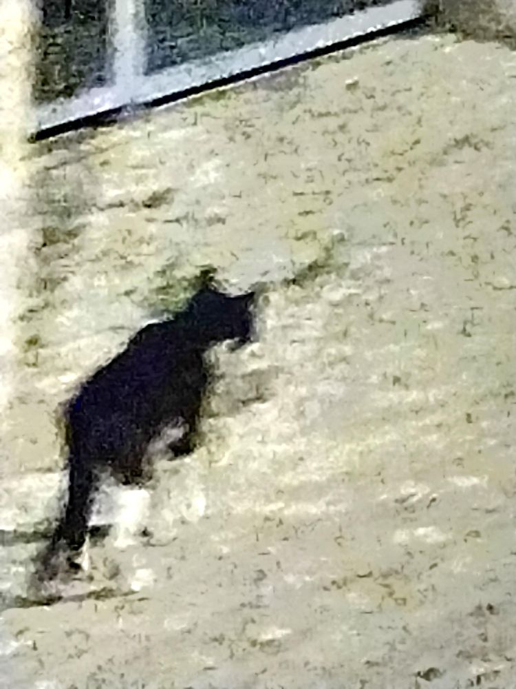 08-15-01-1661169693336257609