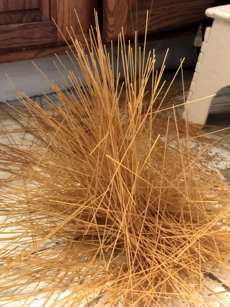 08-15-02-16611697271583402364