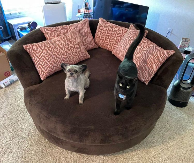 08-15-03-1659614625288190803