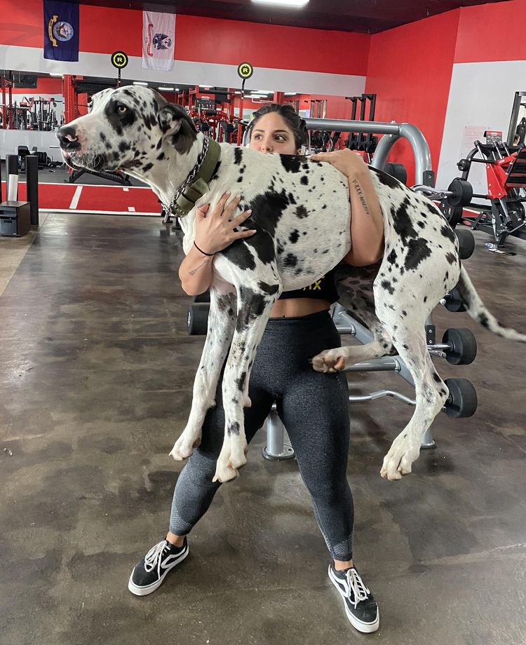 08-15-10-1659355827891225248