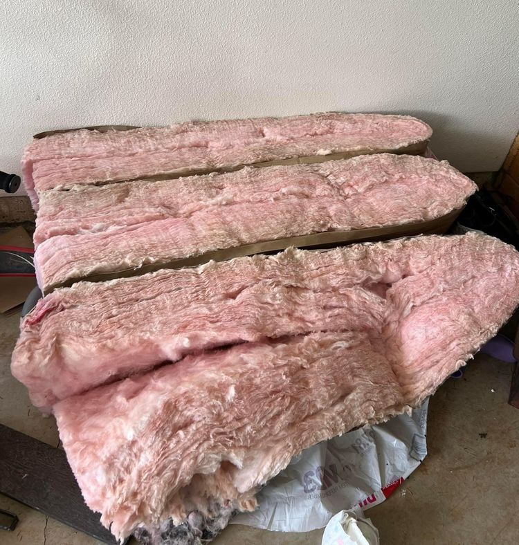 08-15-19-166004759256105878