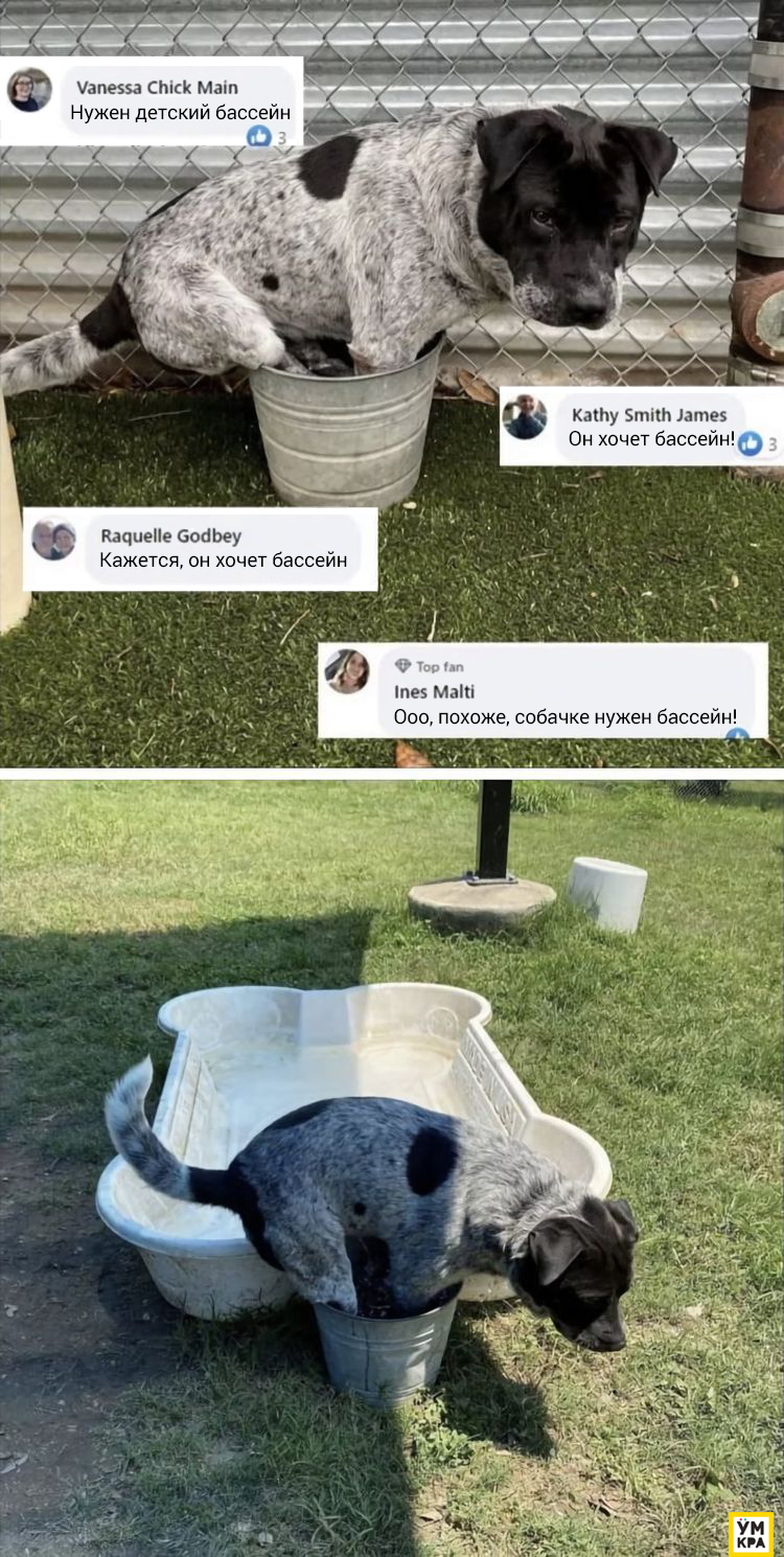 08-15-21-1660566060965888768