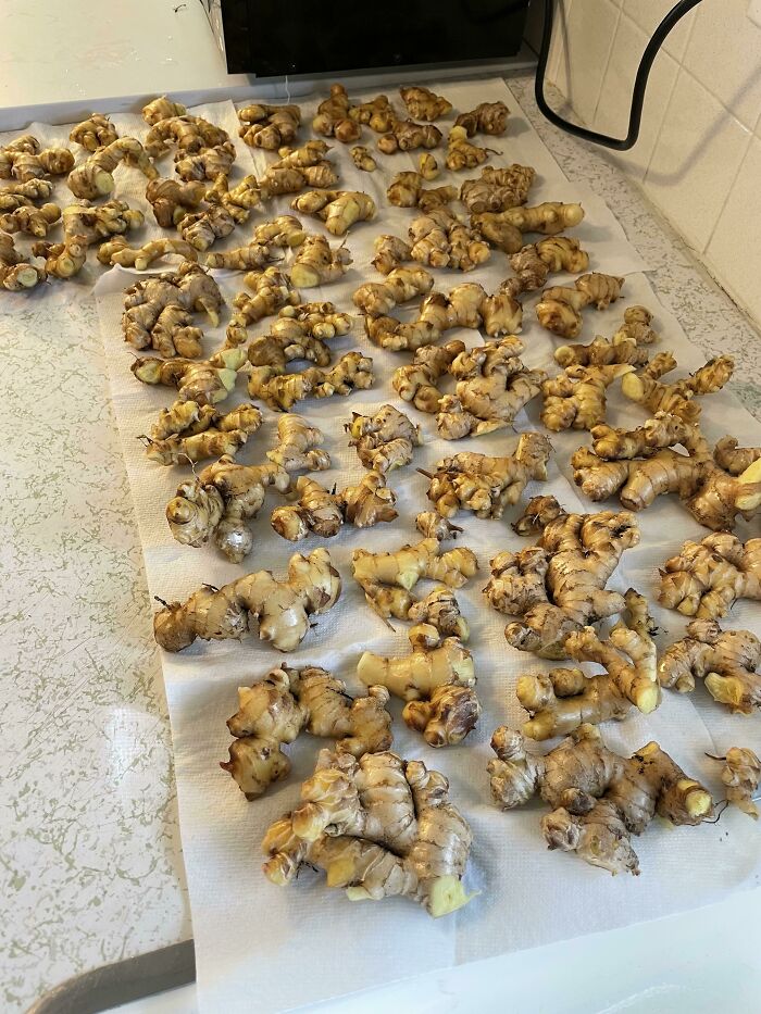 08-15-38-16606535381256555389