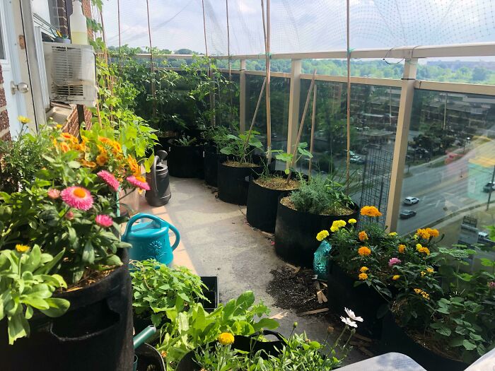 08-15-39-16606535531345732318