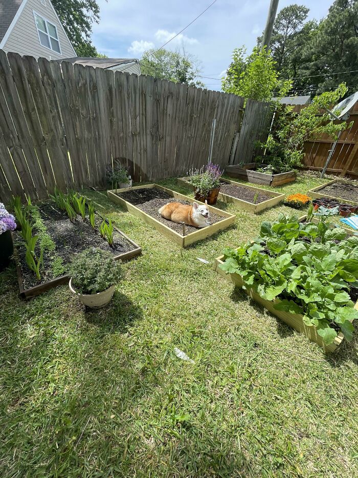 08-15-39-1660653556274038523