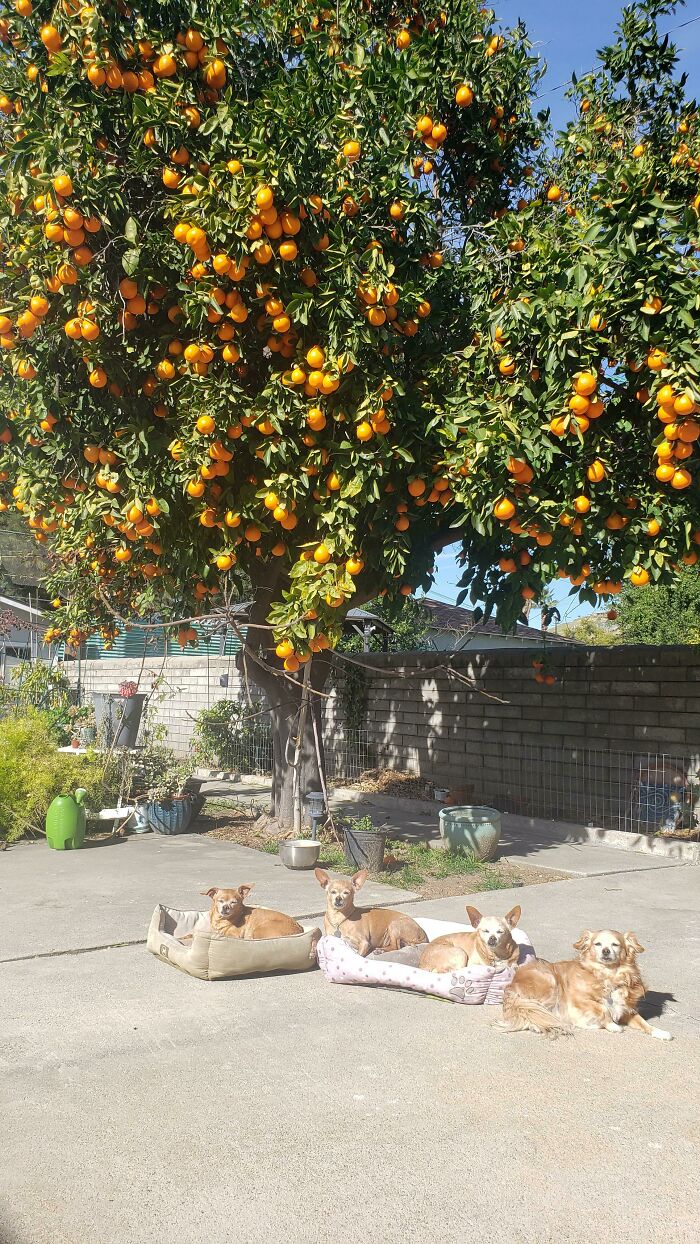 08-15-39-1660653563619800477