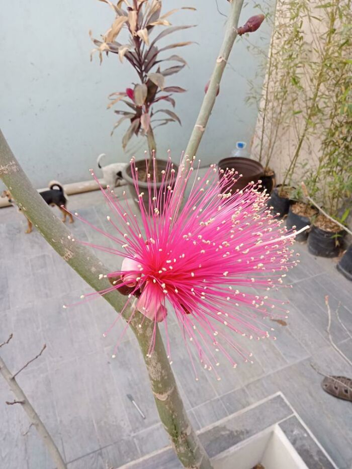 08-15-39-16606535721167359113