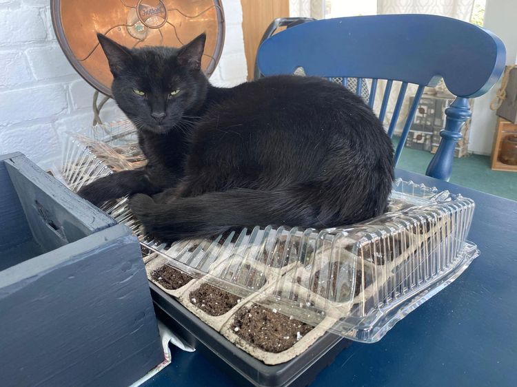 08-15-40-1661344845519714704