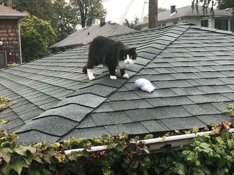 08-15-40-16613448481119332982